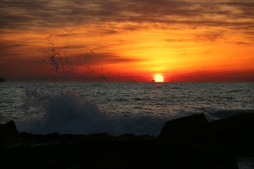 sunrise  sea  omega