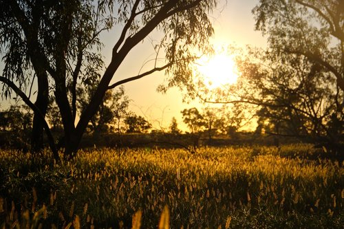 sunrise  outback  queensland
