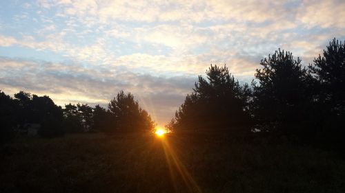 sunrise in the morning morgenstimmung