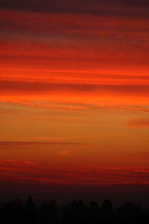 sunrise forest minstead