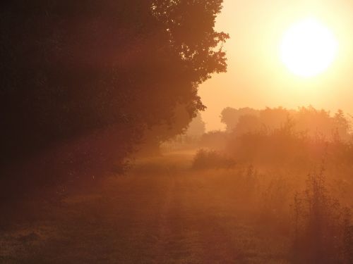 sunrise morning landscape