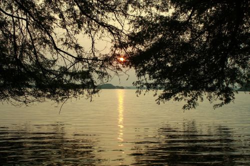 sunrise trees nature