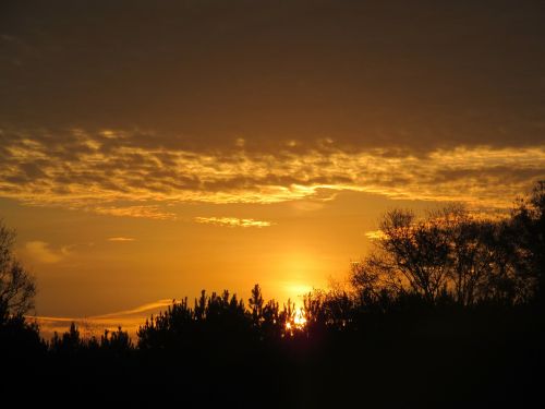 sunrise golden sky landscape