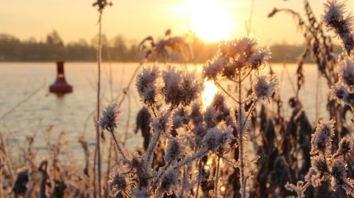 sunrise water morgenstimmung