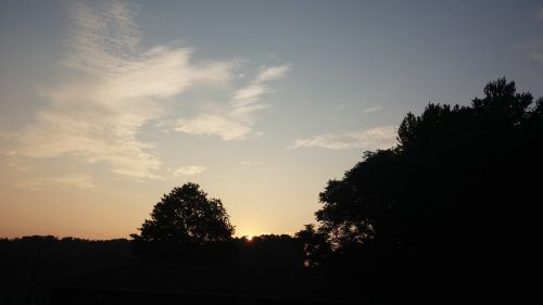 sunrise trees clouds