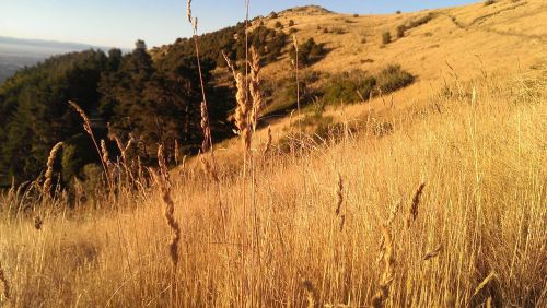 sunrise hay land