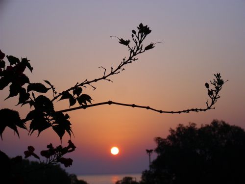 sunrise island beach