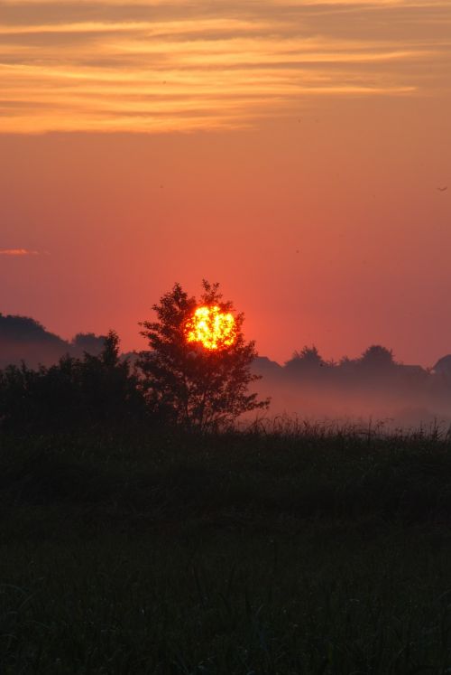 sunrise the fog landscape