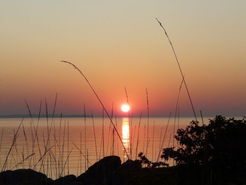 sunrise lake grass