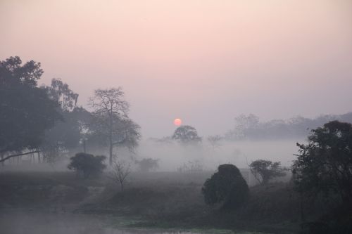 sunrise foggy countryside