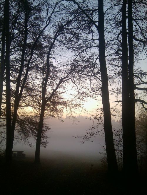 sunrise morgenstimmung landscape