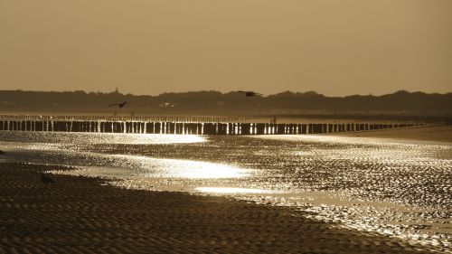 sunrise golden beach