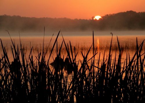 sunrise nature morning