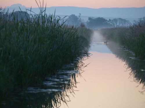 Sunrise With River