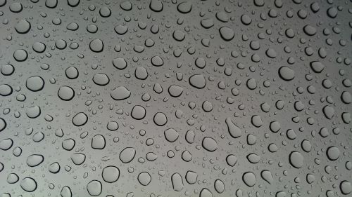 sunroof drops water