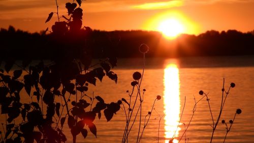 sunset lake pond