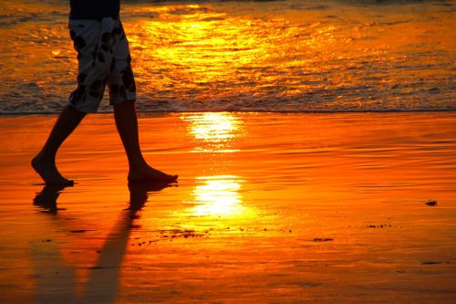 sunset silhouette abendstimmung