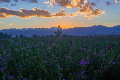 sunset sunrise nature