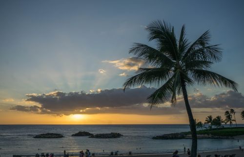 sunset hawaii oahu