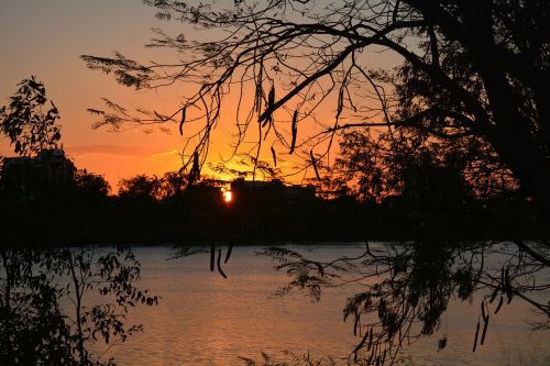 sunset nature landscape