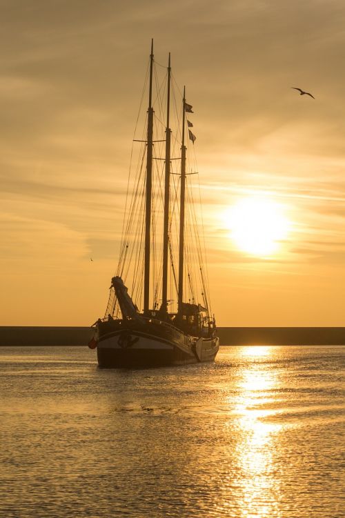 sunset sailboat yellow