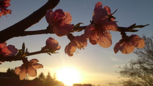 sunset light sky