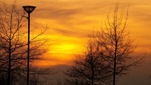 sunset orange nature