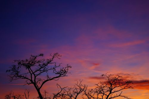 sunset evening hour sky