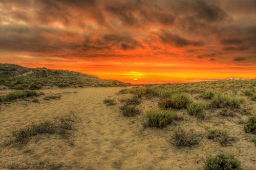 sunset desert sand