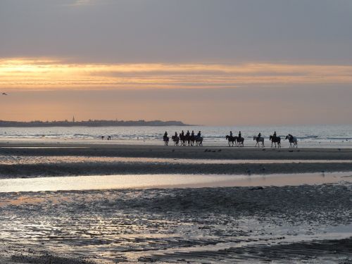 sunset horses seaside