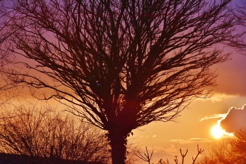 sunset afterglow evening sky