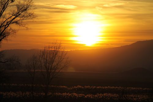 sunset afterglow sky