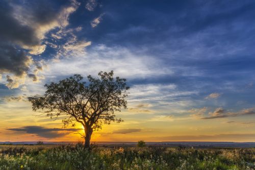 sunset horizon cloud landscape