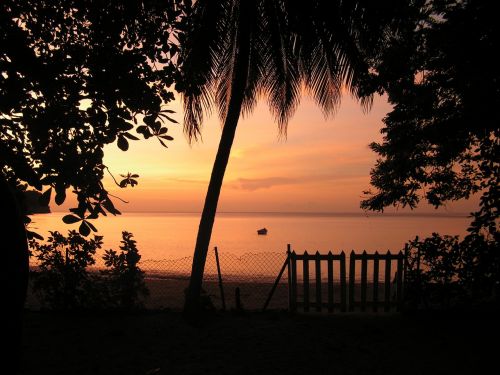 sunset tobago silhouette