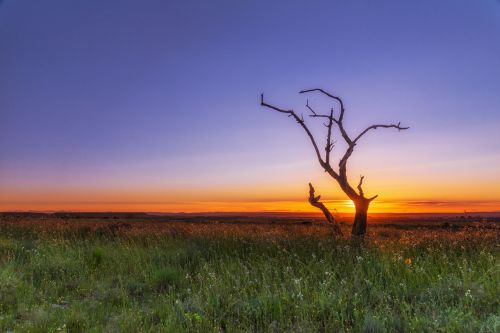 sunset horizon cloud landscape