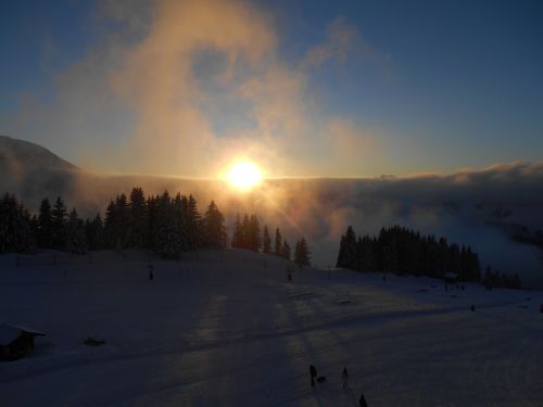 sunset mountain trees