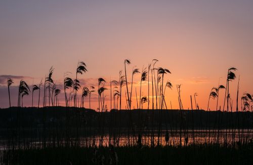 sunset lake natural