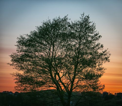 sunset evening orange