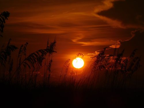 sunset evening sky