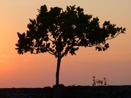 sunset abendstimmung sun