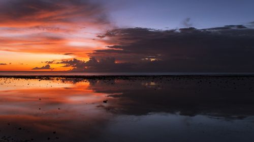 sunset sunset beach twilight