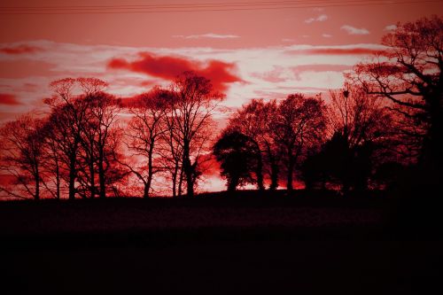 sunset red sky nature