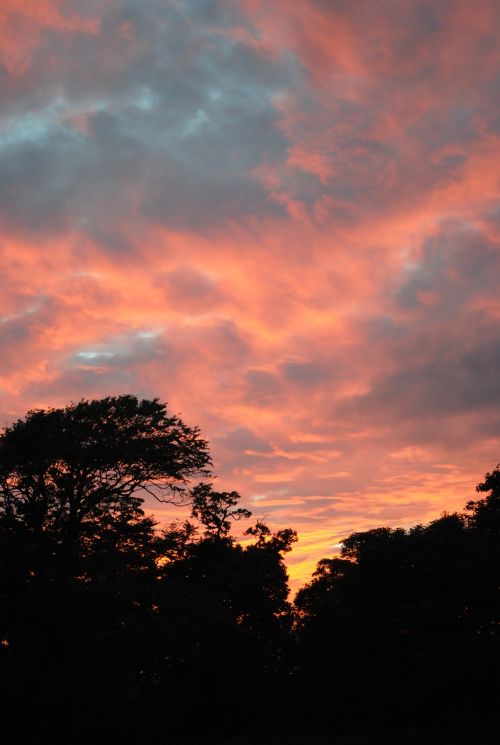 sunset evening silhouette