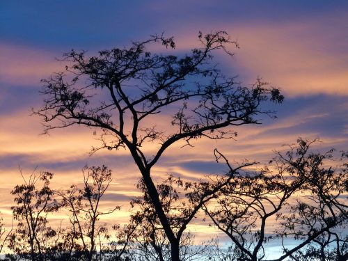 sunset sky clouds