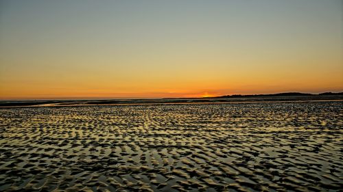 sunset intertidal zone low tide