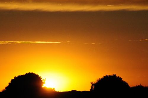 sunset field farm