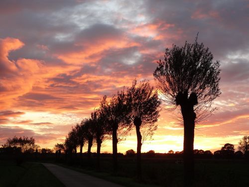 sunset evening red