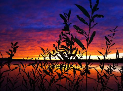 sunset wisconsin powers lake