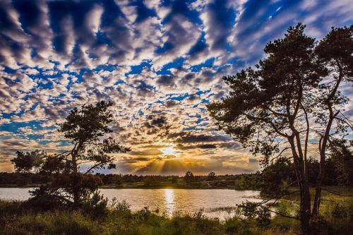 sunset heide nature