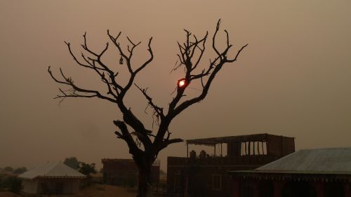 sunset desert camp